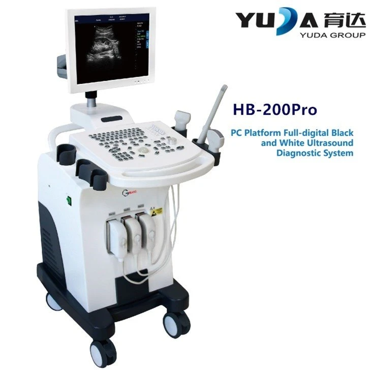 Medical Black And White 4D Ultrasound